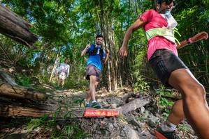 BIB: 
                            <button type="button" onclick="openModal(19387216)" class="btn btn-primary btn-sm float-right btn-popup" data-toggle="modal" data-target=".modal-high-quality">
                        <i class="fas fa-shopping-cart"></i> Add to Cart
                    </button>
                                            <button type="button" onclick="isThisMe(19387216, true)" class="btn btn-success btn-sm float-right btn-popup btn-isme hidden" data-toggle="tooltip" data-placement="bottom" title="นี่คือรูปของคุณใช่ไหม คลิกที่นี่เพื่อเอาเข้าอัลบั้ม">
                        <i class="fas fa-plus"></i> Add to album
                    </button>
                    <button type="button" onclick="isThisMe(19387216, false)" class="btn btn-warning btn-sm float-right btn-popup btn-isnotme hidden">
                        <i class="fas fa-ban"></i> Remove from album
                    </button>